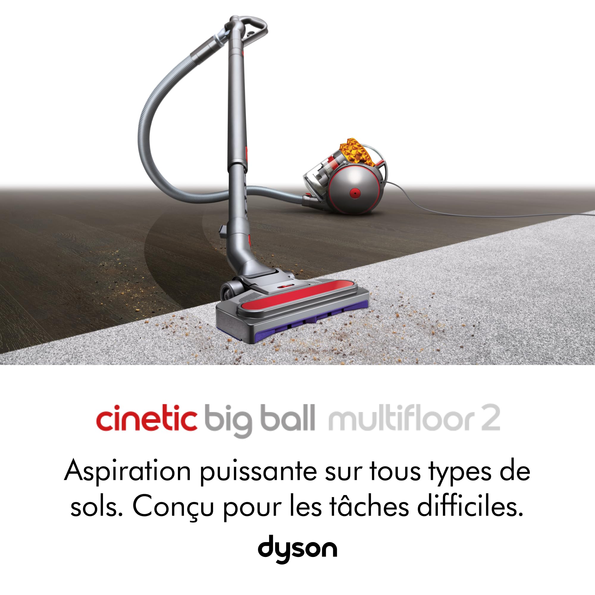 Aspirateur Dyson Cinetic Big Ball Multifloor 2