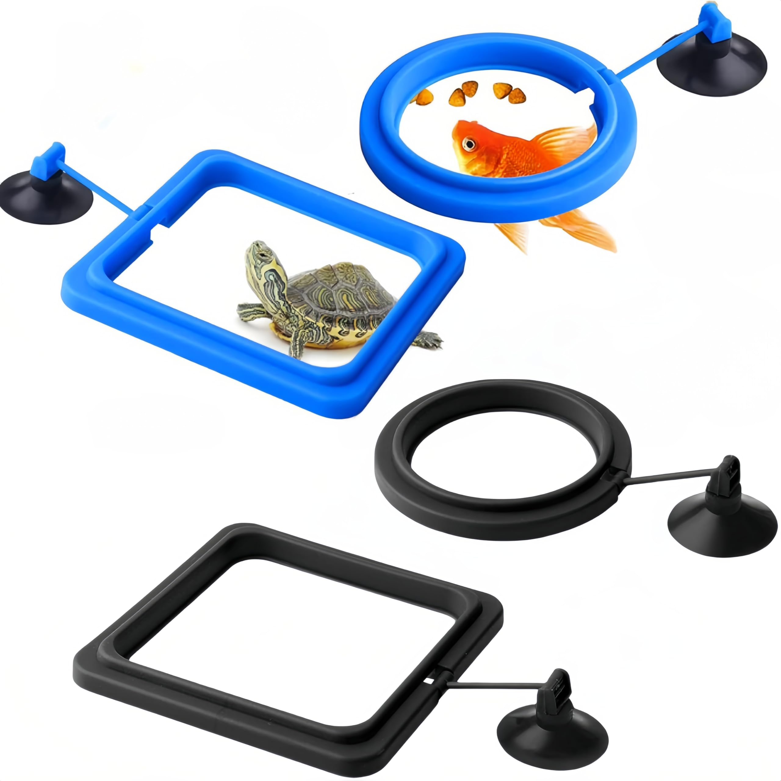 Anello di Alimentazione Quadrato con Ventosa, Mangiatoia Galleggiante per Acquario, Accessori per Serbatoi per Pesci Rossi e Più Piccoli