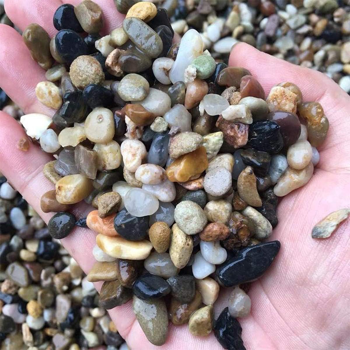 Gewassen gesteriliseerd erwtengrind