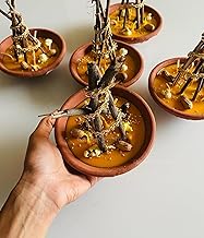 Handcrafted Miniature Lohri Bonfire Soy Wax Candle | Eco-Friendly Festive Decor | Traditional Design | Perfect for Lohri Celebrations & Gifting - Yellow- Scented Candle