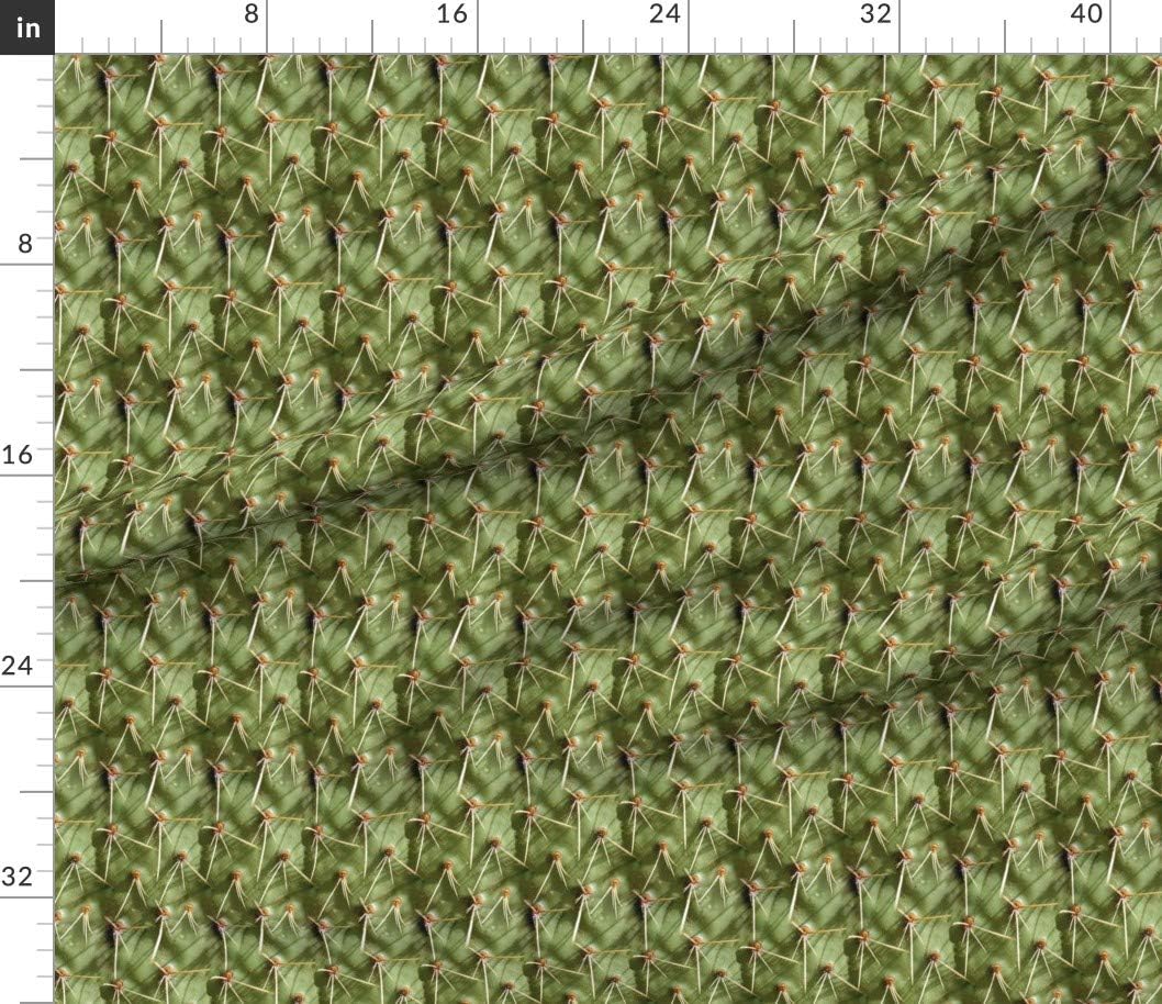 Spoonflower Fabric - Cactus Desert Southwestern Texas Wild West Green Plant Succulent Printed on Petal Signature Cotton Fabric by The Yard - Sewing Quilting Apparel Crafts Decor