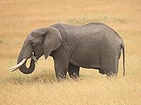 Review Image by MammaDi3Gatti MammaDi3Gatti