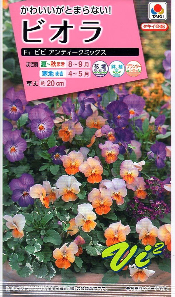 タキイ　アンティークアイロン Amazon.co.jp: 炭火アイロン 80252261 オランダ ヴィンテージ