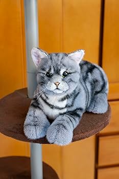 なでなでねこちゃんEX アメショー【撫でると鳴くぬいぐるみ】リアル Amazon.co.jp: トレンドマスター なでなでねこちゃんEX アメショー