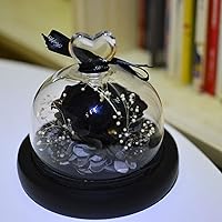 Vista 3 de Kylin Glory Forever Flowers - Rosas eternas reales preservadas, regalo con luces LED de estado de ánimo para el día de San Valentín, cumpleaños