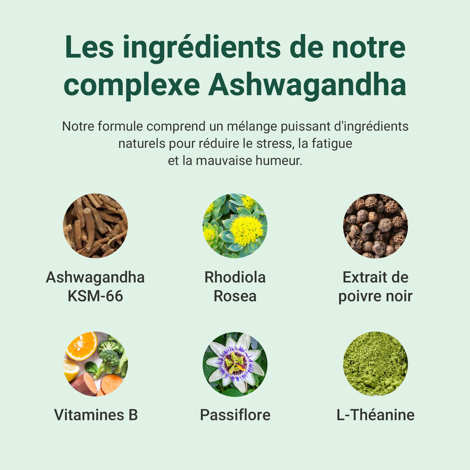 Theonia Ashwagandha Complex 9000 mg KSM-66 Supplément haute résistance pour l'humeur et l'énergie, l'anxiété, le stress - Naturel - 60 capsules, non OGM, végétalien