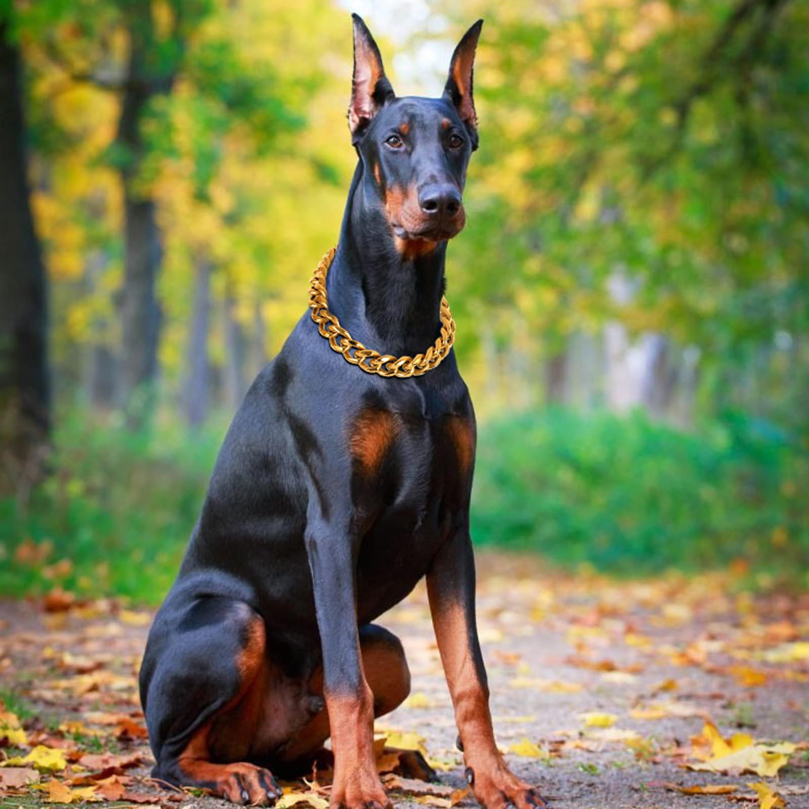 BAOBOTE Chaîne pour chien dorée à maillons cubains avec motif 20 mm
