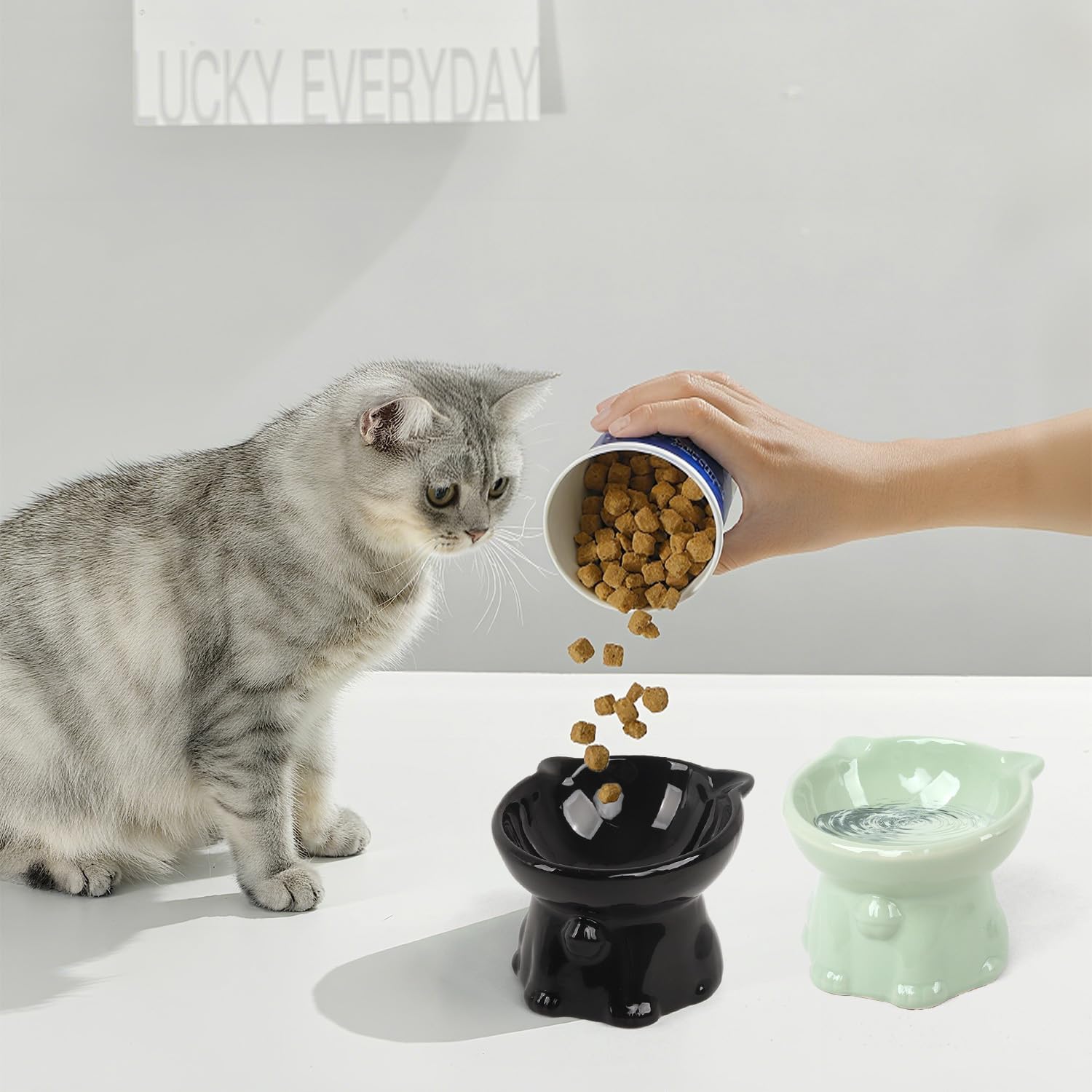 Elevated Cat Bowls, 4 Pack 5 Oz Raised Cat Bowl Ceramic Cats Food Bowls Ceramic Elevated Pet Dishes for Cats Puppies, Microwave and Dishwasher Safe