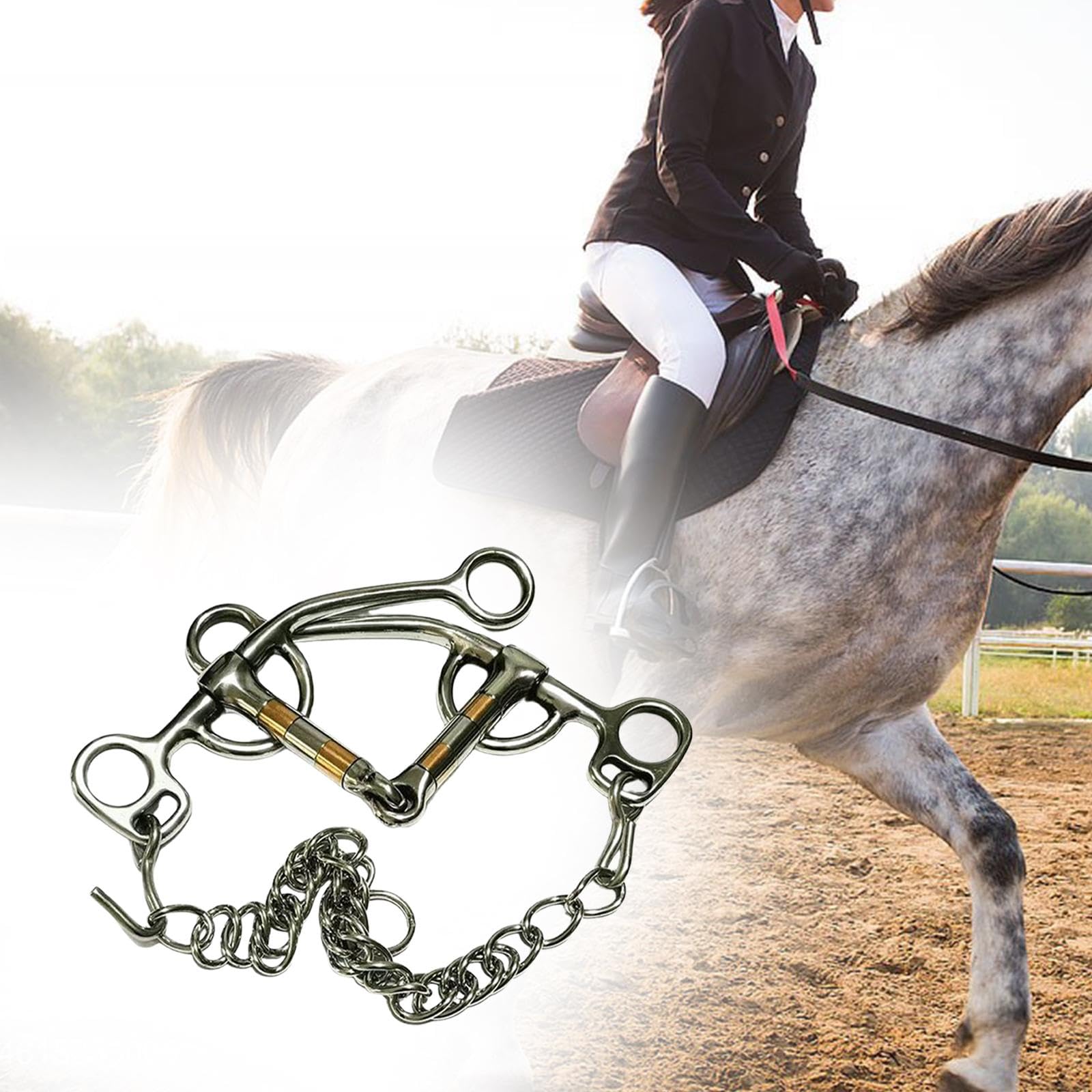 Mors D'équitation, Accessoires pour Chevaux et Mules, Concours de Marche et