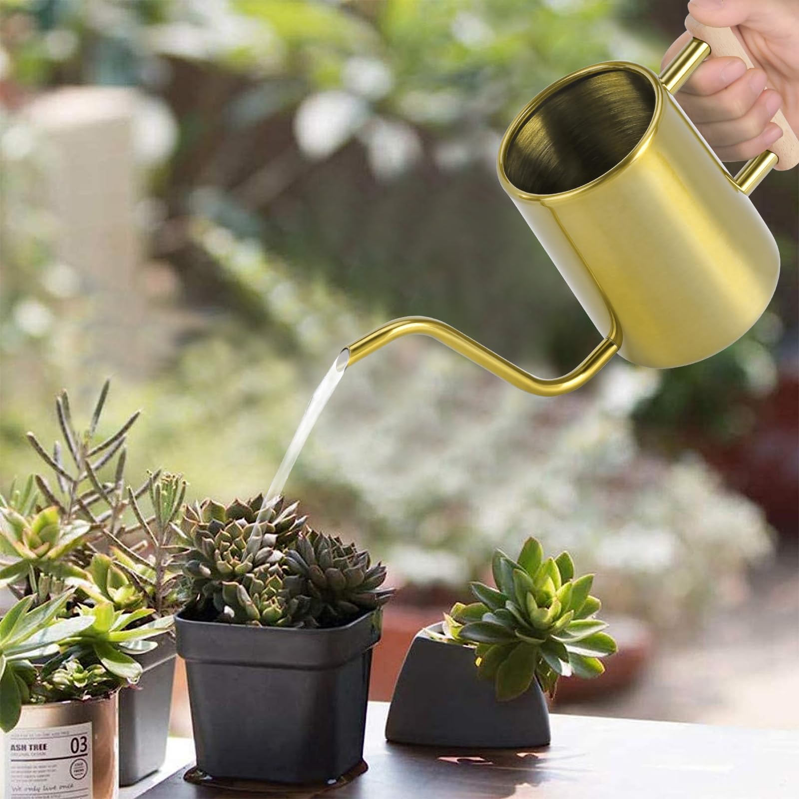 Watering Can Indoor Plants, 35 oz/1000 ml Metal Stainless Steel Watering Can Pot with Long Spout for Indoor House Plants Bonsai Outdoor Garden Flower Decorative (): Gold