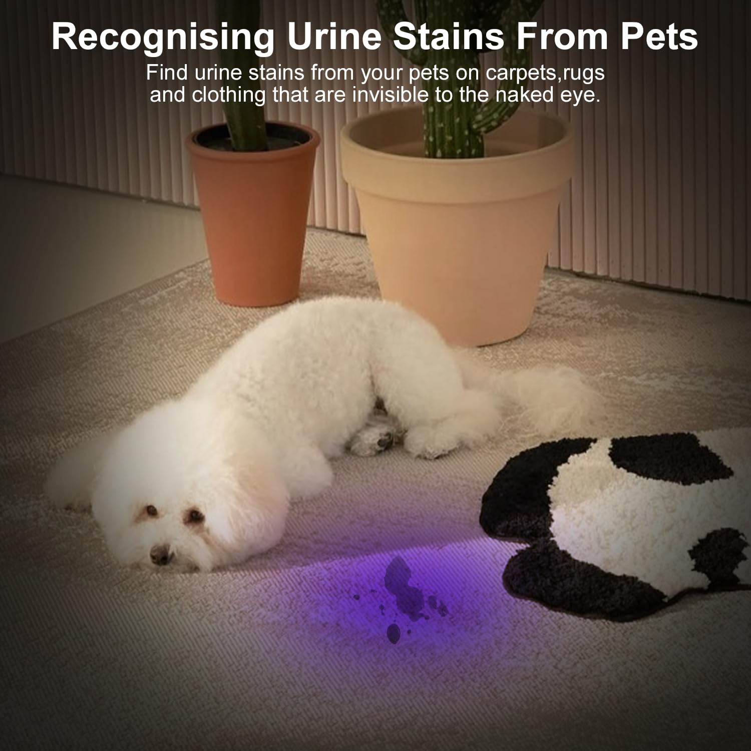 Azyvum UV Taschenlampe 20W,USB Aufladbar Schwarzlicht Taschenlampe,365nm UV Lampe Für Bernstein,Epoxidharz,Erkennung von Haustierurin,Mineralien,Reisen,Flecken für Hunde und Katzen