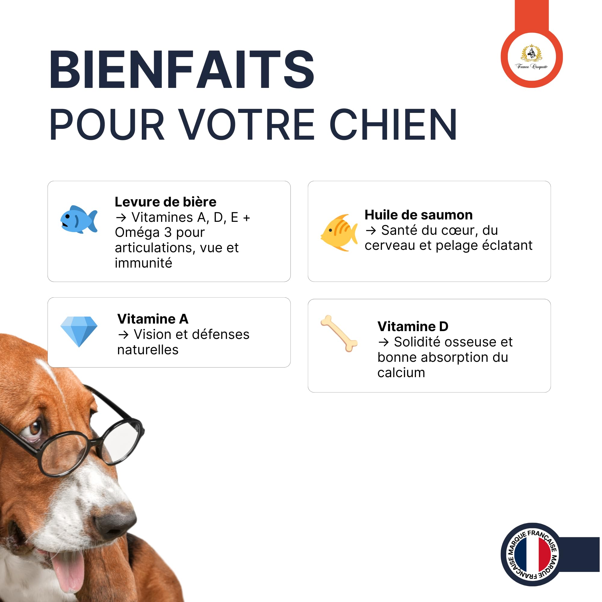 double oméga huile de foie de morue et saumon pour chien – oméga 3 et 6 naturels – vitalité immunité articulations cerveau pelage brillant – complément alimentaire huile 500 ml