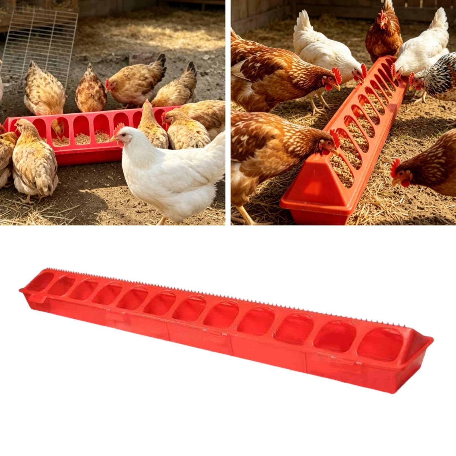 Mangiatoia per Pollame, Mangiatoia per, Abbeveratoio, Coperchio Incernierato Anti-Perdita, Senza Sprechi, Contenitore per Mangimi per Quaglie E, 80 Cm