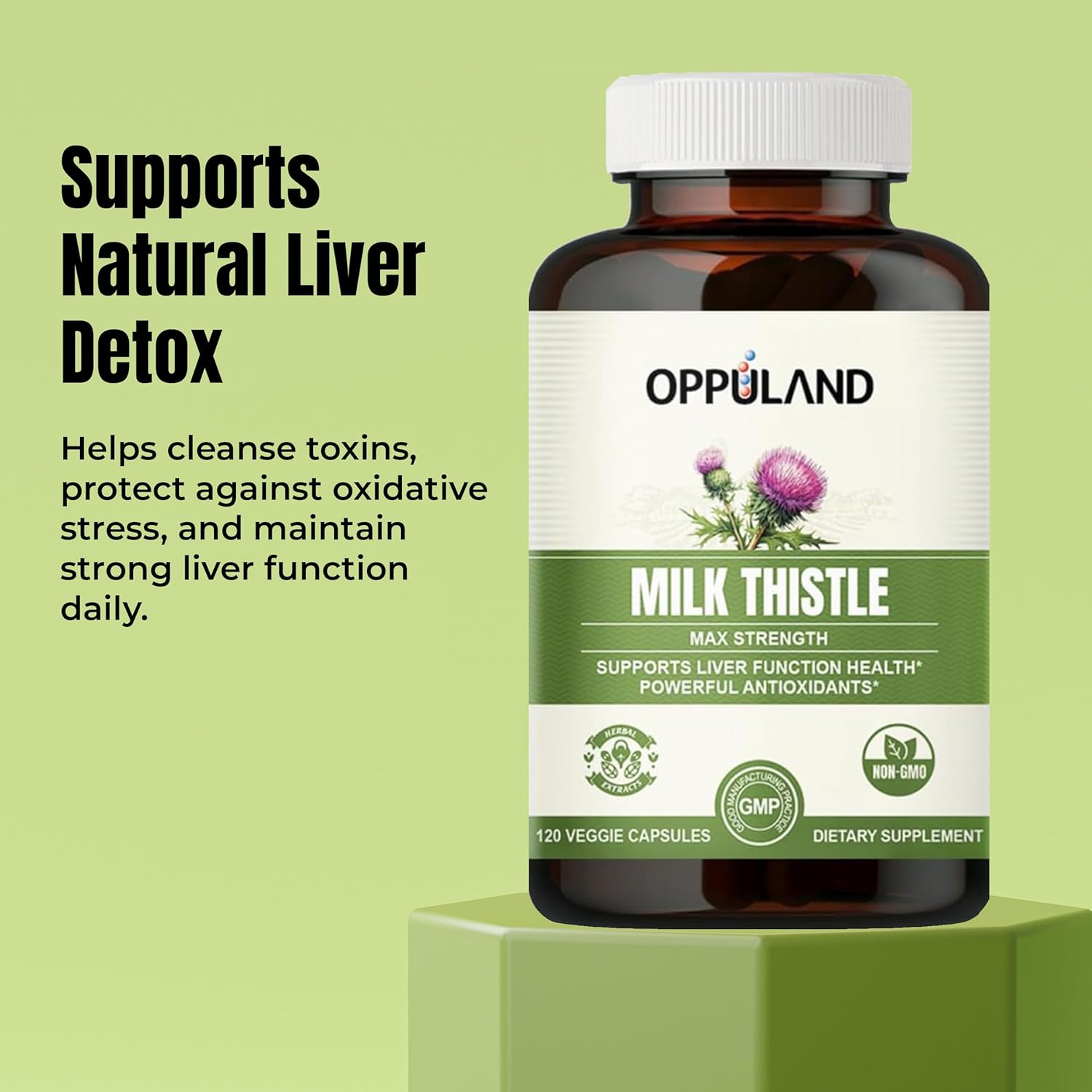 Milk Thistle Capsules - 250mg Herbal Liver Detox Supplement with Dandelion Root, Turmeric Root and Artichoke Extract - Advanced Milkthistle Complex for Liver Health & Defense - 120 Day Supply
