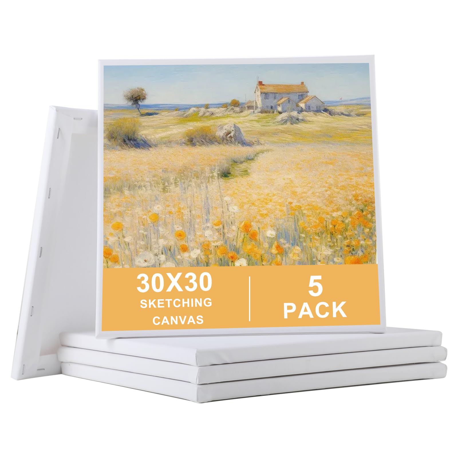 Set 5 Tele per Dipingere 30x30 cm Bianche 100% Cotone con Telaio a Chiave per Acrilico e Olio
