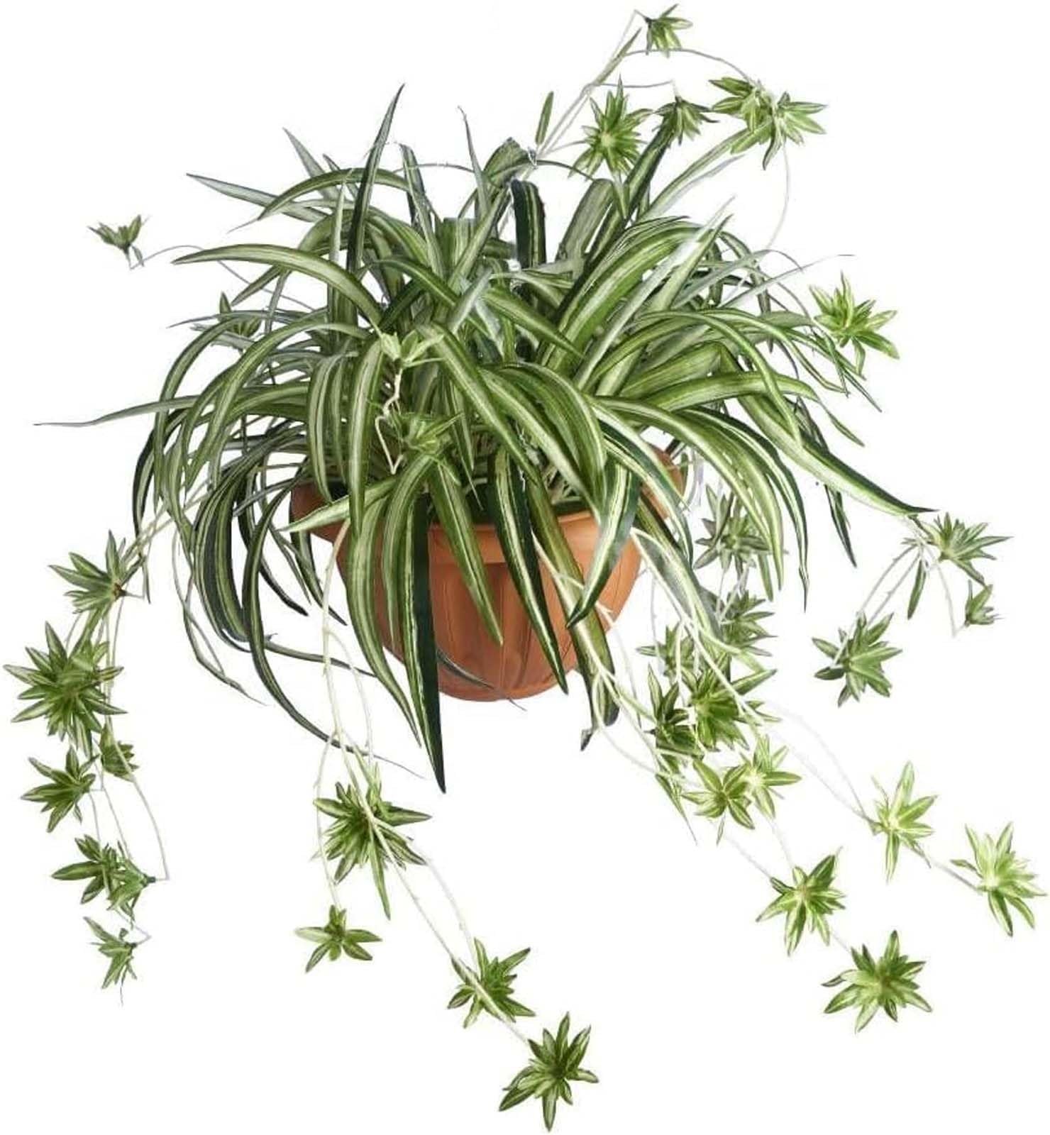 Amazon.de: Laelfe 2 Pcs Kunstspinne Pflanze, Knstliche Pflanzen Hngend  Plastik Artificial Spinne Plants fr Innen Auen Haus Garten Dekoreationen  (23.6in)
