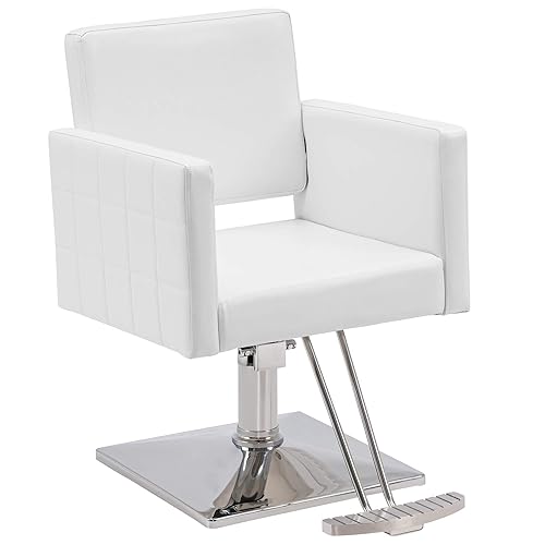 BarberPub Silla de salón de peluquería clásica para estilista Silla de peluquería hidráulica Equipo de spa de belleza 8821 (blanco puro)