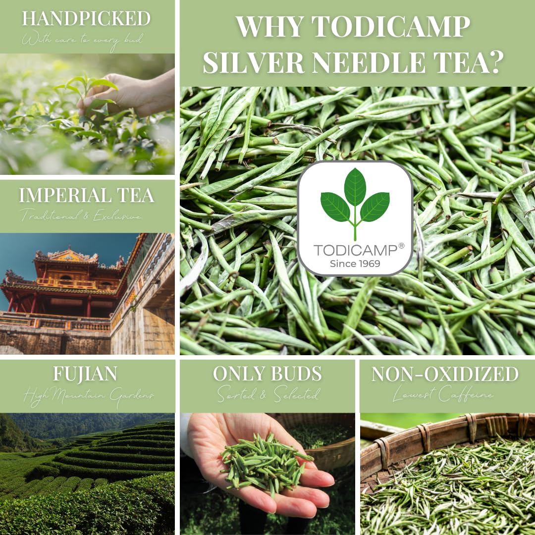 TODICAMP Premium Silver Needle Tea - 3 oz of Premium White Tea Loose Leaf