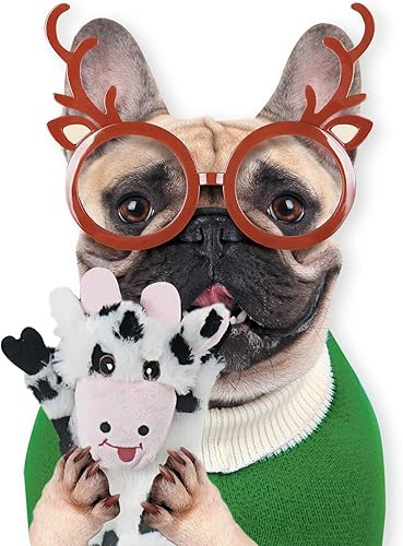 Vista 8 de SHARLOVY Paquete de 5 juguetes chirriantes para perros, juguete arrugado para mascotas, sin relleno, animales de peluche, masticables para perros