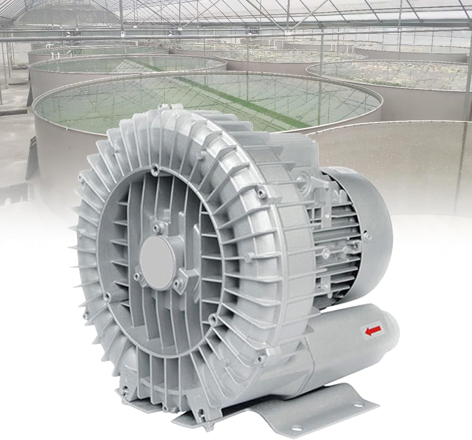 Regenerative Blower, Vortex Ring Blower, Industrial Extractor Blower,Commercial Ventilator, Air Blower with Dust Filter,for Workshops Fish Ponds Farms(750W/380V)