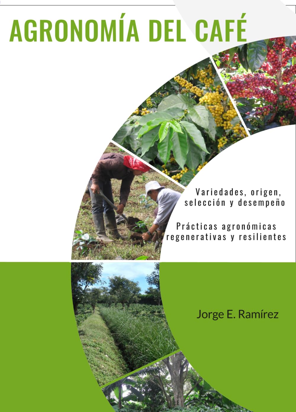 Agronomía del café: Variedades, origen, selección y desempeño. Prácticas agronómicas regenerativas y resilientes