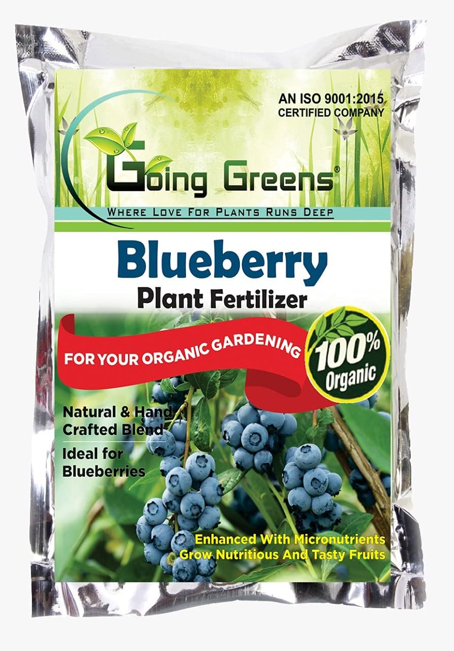 Blueberry Fertilizer for Plants Home Garden I Blueberry Plant Growth Supplement (450 GMS)