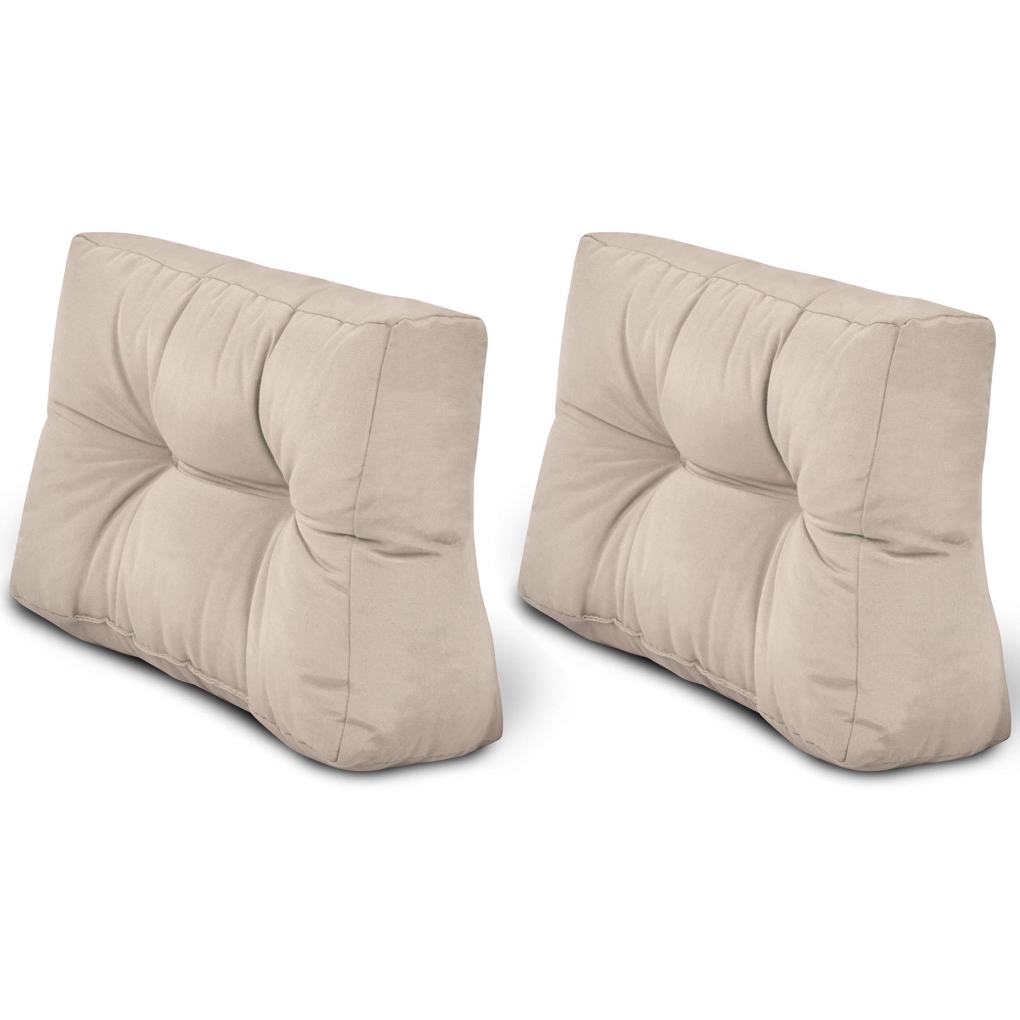 Beautissu 2X Cojines para Palets de Respaldo Silla 60x40 cm Natural - 10 cm de Espesor Cojines Sofa Palets Exterior y Interior - Robustos Cuidado Fácil - Eco Style
