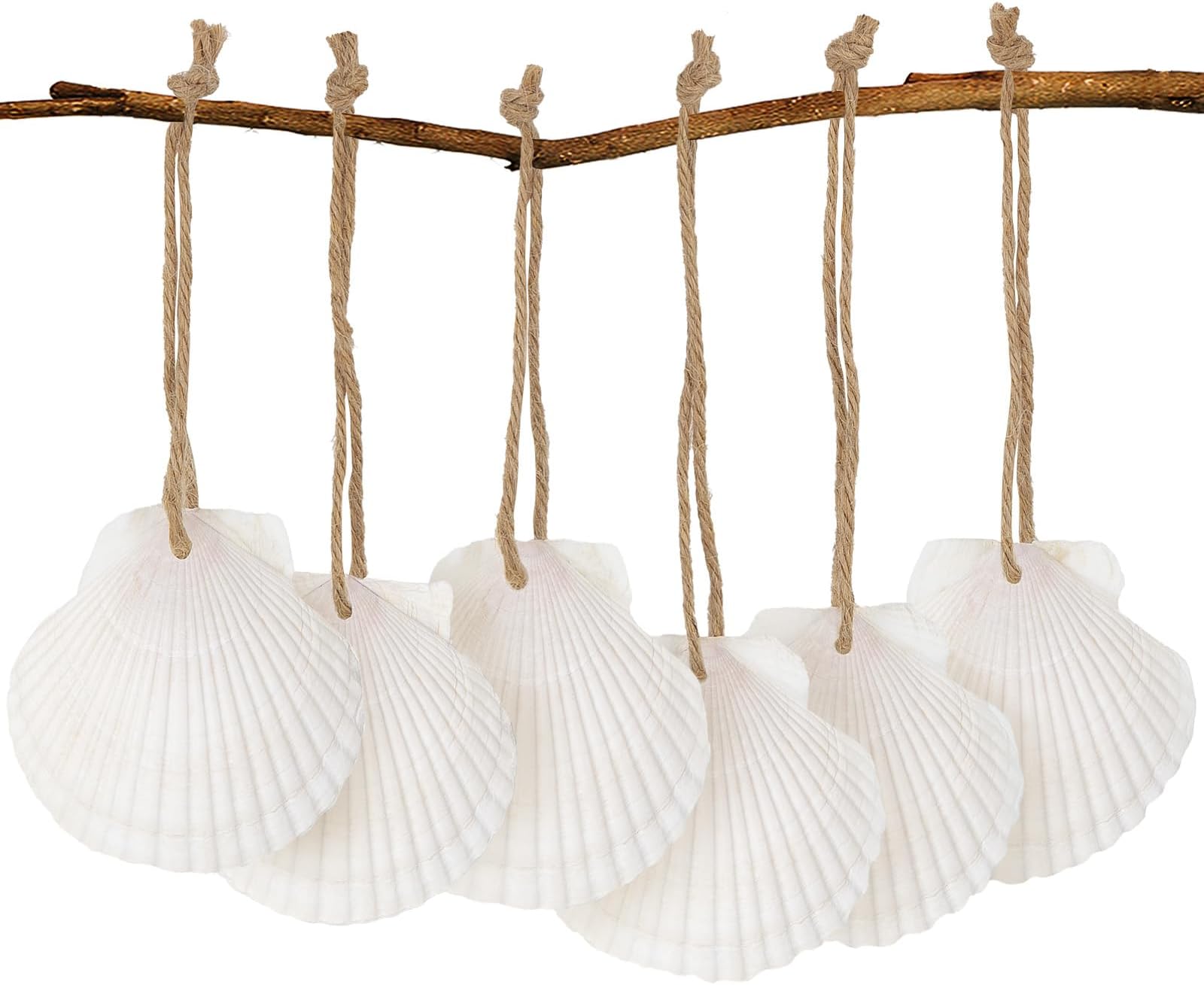 16PCS Natural Sea Shells 2.5"-3.5" Perforation Scallop Shells with Rope,for Christmas Tree Ornaments & DIY Hanging Home Deocration Craft Shells