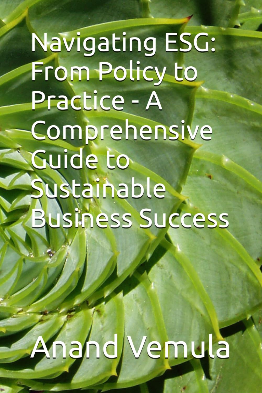 Navigating ESG: From Policy to Practice - A Comprehensive Guide to Sustainable Business Success