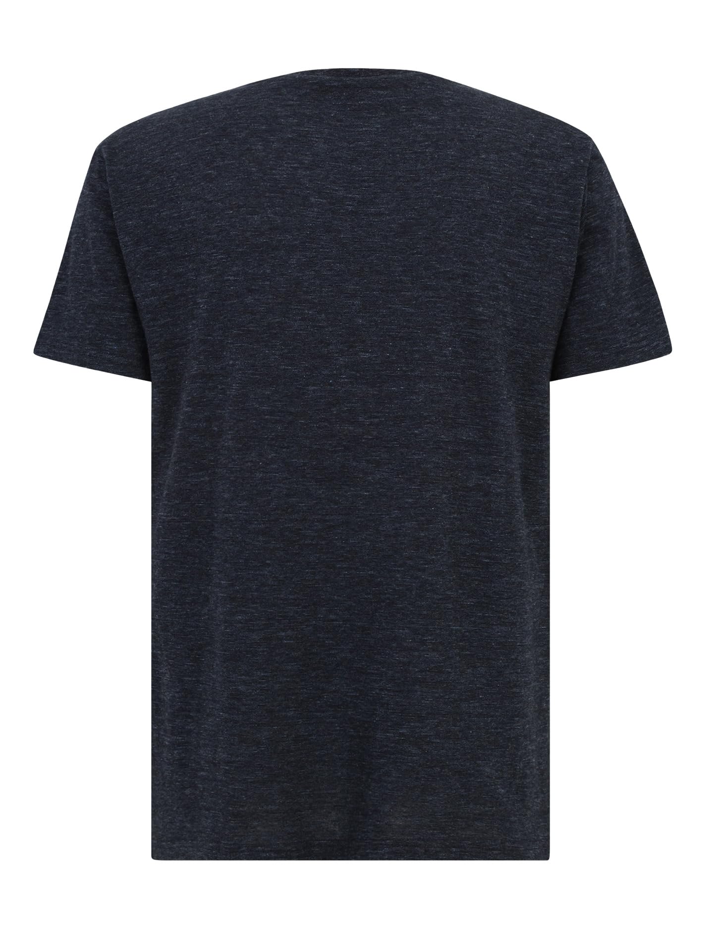 IRIEDAILY T-Shirt Herren - Chamisso Tee