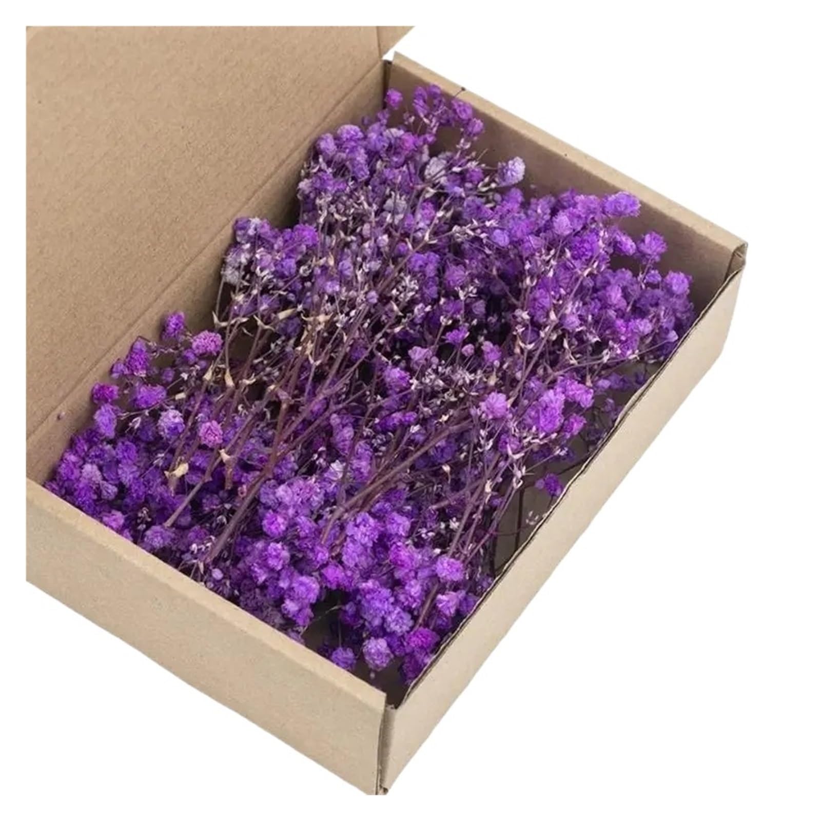 WJIAYAO dried gypsophila flowers Pack of 100 Preserved White Gypsophila Dried Flower for Home Decoration Floral Arrangements And Craft Projects(Color9)