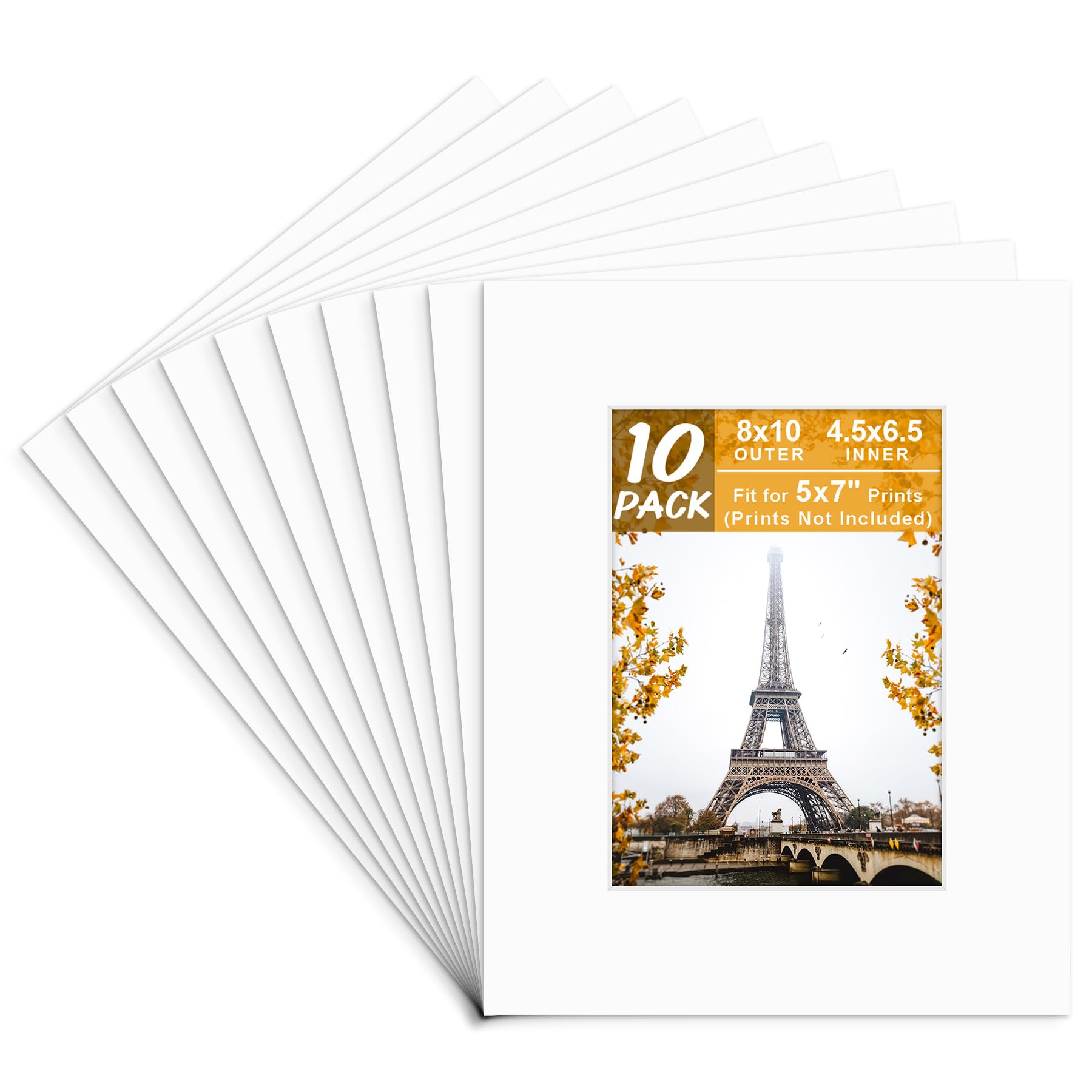 Golden State Art, 8x10 White Picture Mats with White Core Bevel Cut for 5x7 Pictures (Pack of 10 Mats)