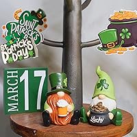 Vista 8 de Decoraciones de gnomos del día de San Patricio, 2 figuras de gnomo con tréboles de la suerte, tazas de cerveza, maceta de resina dorada, muñecas sin