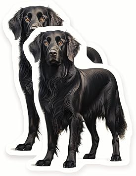 Flat Coated Retriever Magnets - Dog Breed - Pet Lover - 2 Pack 5" Wide Design - Sticks to Fridges, Lockers, Toolboxes & More - Made in USA - AQM3692