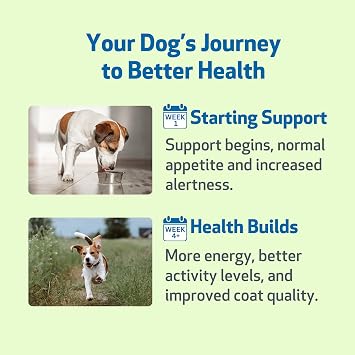 Pet Wellbeing Milk Thistle for Dogs - Organic Milk Thistle, Supports Healthy Liver Function & Detoxification - NASC Certified & Vet-Formulated - 4 oz Liquid