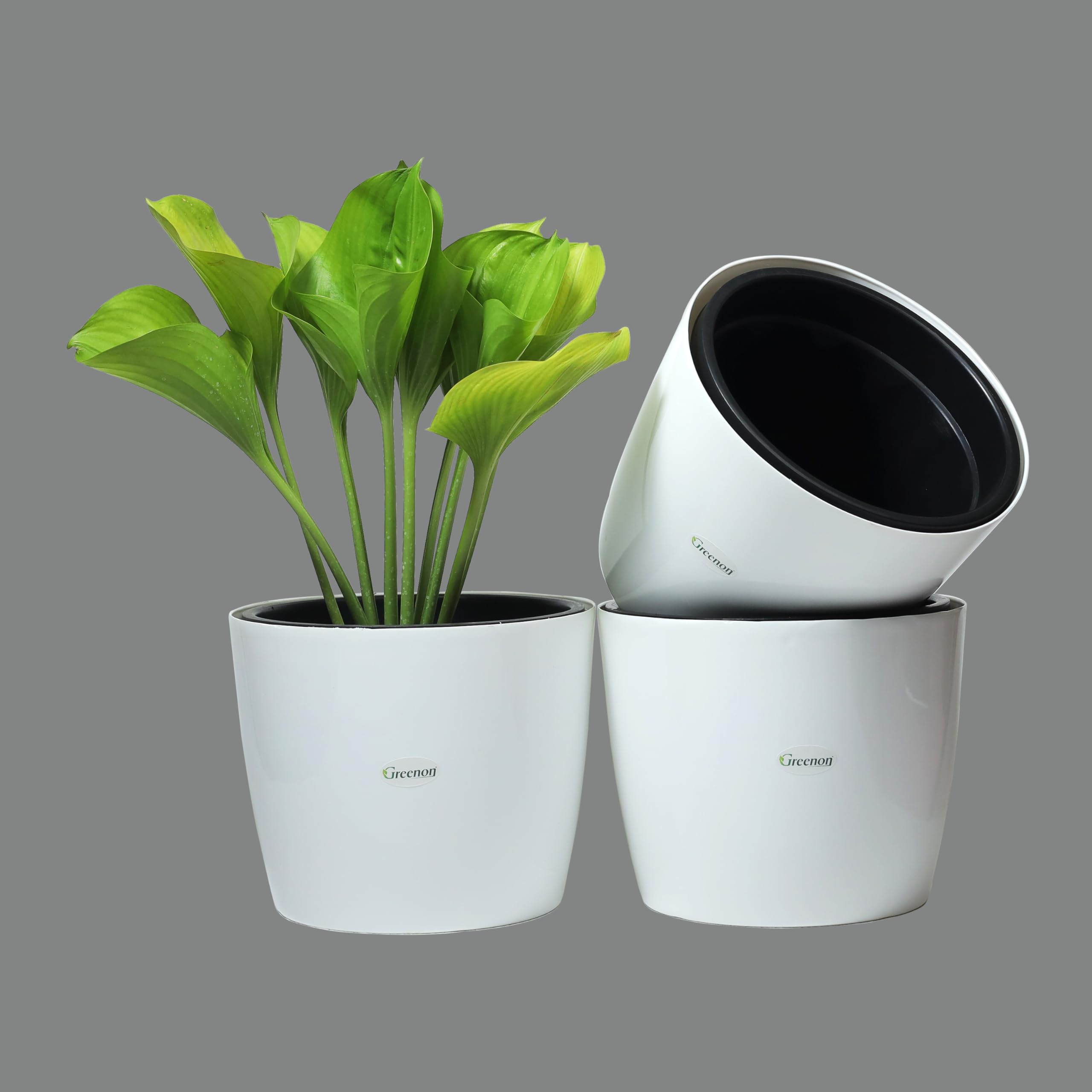 GREENON® 10 Inch Self Water Plant Pot Pack of 3 (6 Pots) | White Outer and Black Inner | UnFadable Flower Pot | Virgin Plastic Gamla | Suitable for Indoor and Balcony (B09B5JY2SS) Amazon Price History, Amazon Price Tracker