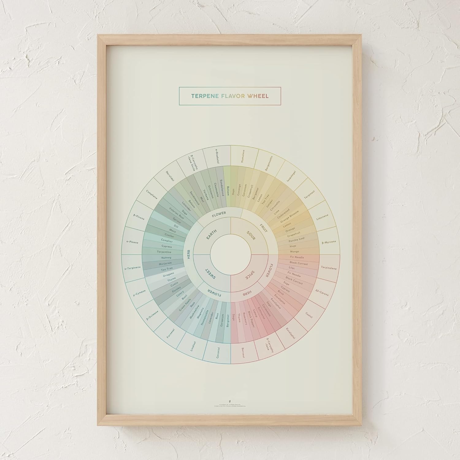 Goldleaf Terpene Flavor Wheel Art Print, Minimalist Terpenes Infographic Poster, Medical Marijuana Chart Poster, Educational Dispensary Decor