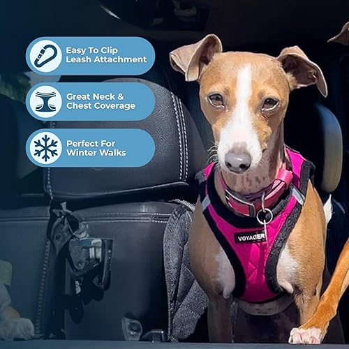 Miniatura 5 de Voyager - Arnés de peluche para perros pequeños y medianos de Best Pet Supplies