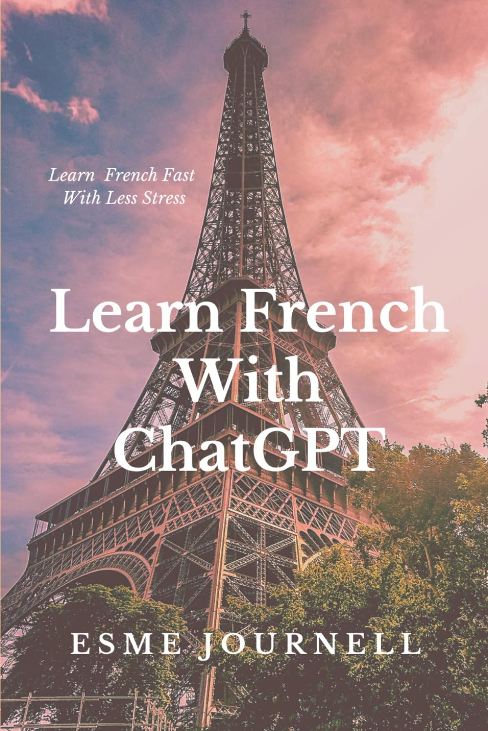 Learn French With ChatGPT: Learn French Fast With Less Stress (Language Learning With AI)
