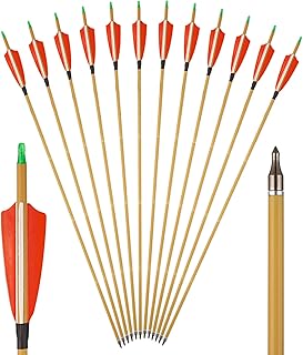 TOPARCHERY Premium 30" Carbon Hunting Arrows with 4" Real Turkey Feathers Fletching and Removable Tips - 500 Spine Practice Target Arrows for Recurve Bow Long Bow -12Pcs