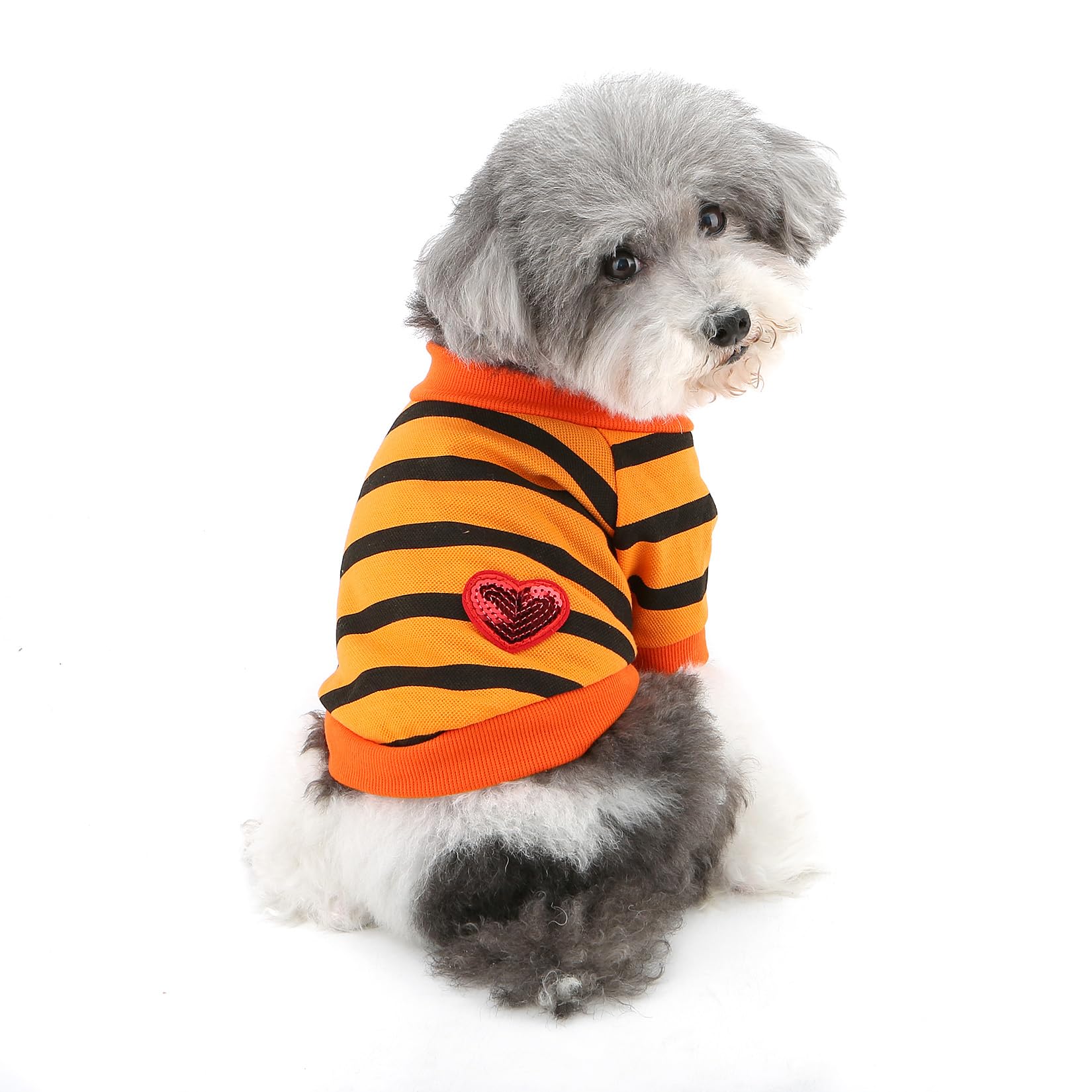 Ranphy Sequin Heart Dog T-Shirt for Small Dogs and Cats, Orange, S