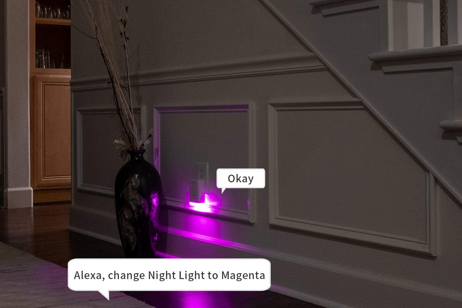 Made for Amazon Smart Night-Light for Echo Flex