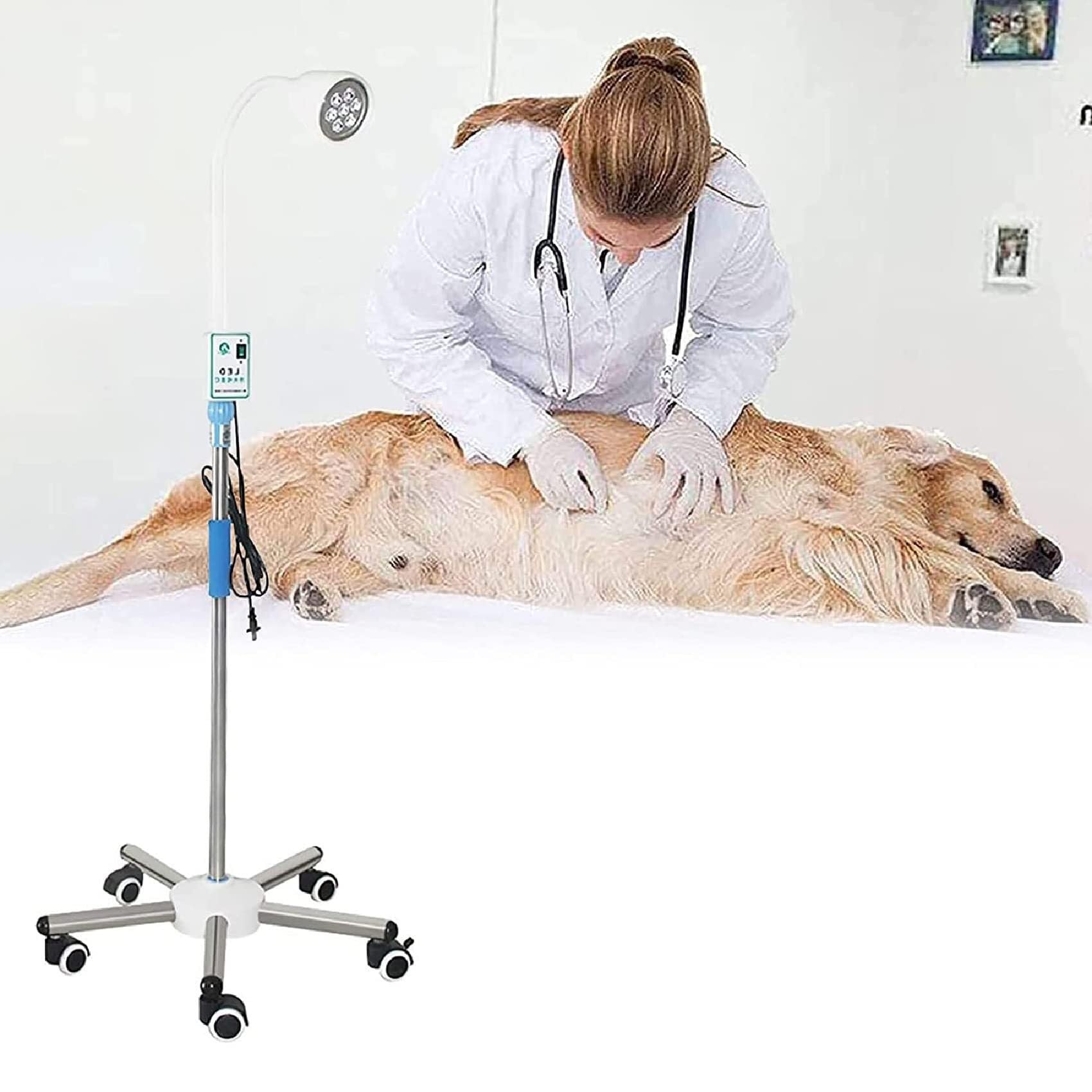 Lampada mobile senza ombre for uso medico dentale da pavimento, lampada for visita chirurgica a LED 7 * 3W, adatta for ginecologia, ambulatorio, animali domestici, odontoiatria, otorinolaringoiatria