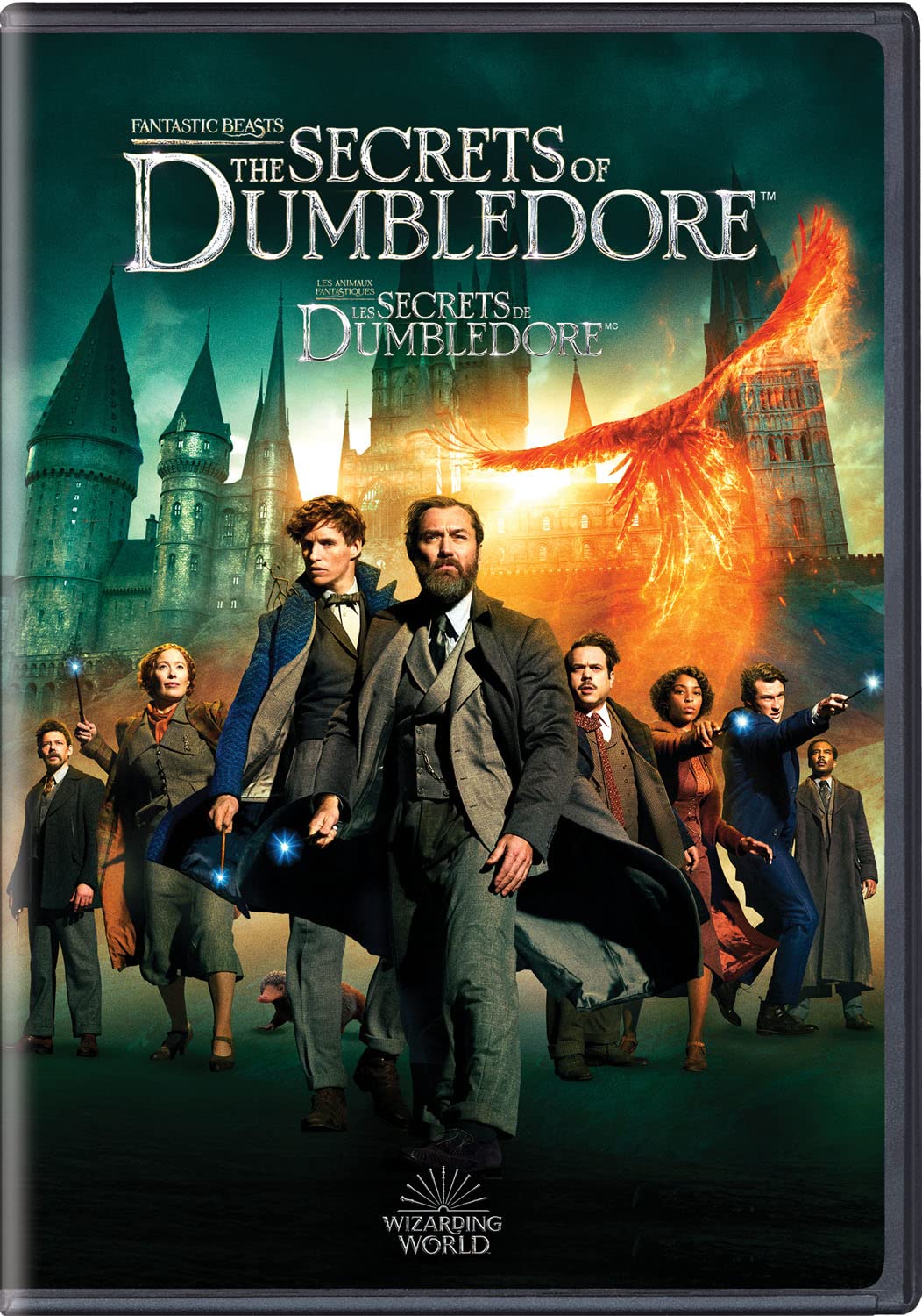 Fantastic Beasts: Secrets of Dumbledore (BIL/DVD) [DVD]