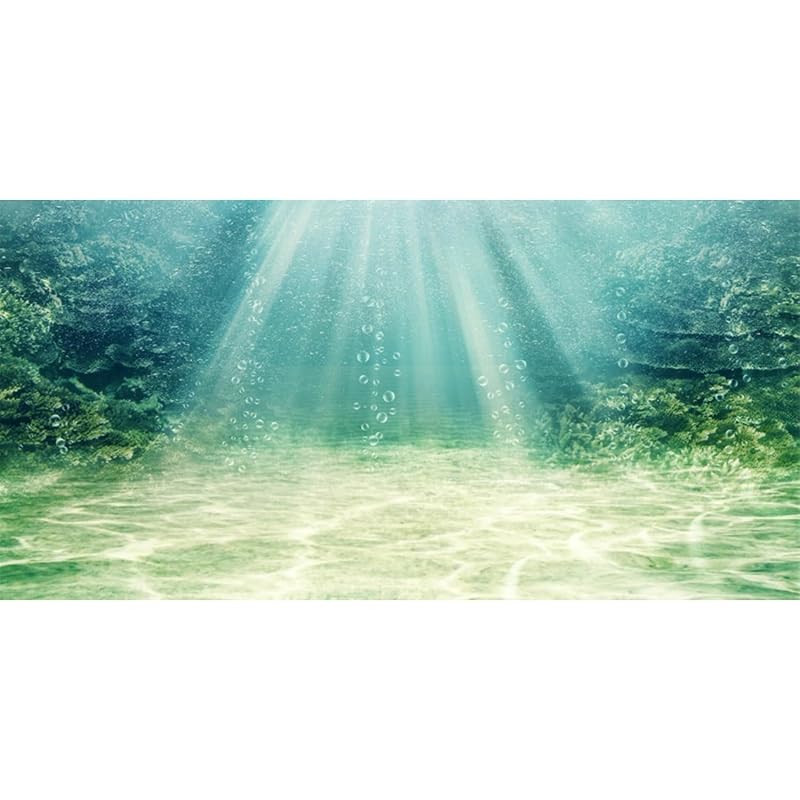 Fundo para Aquário e Terrário com Cenário de Oceano Subaquático em Vinil AWERT 91,44 x 50,8 cm