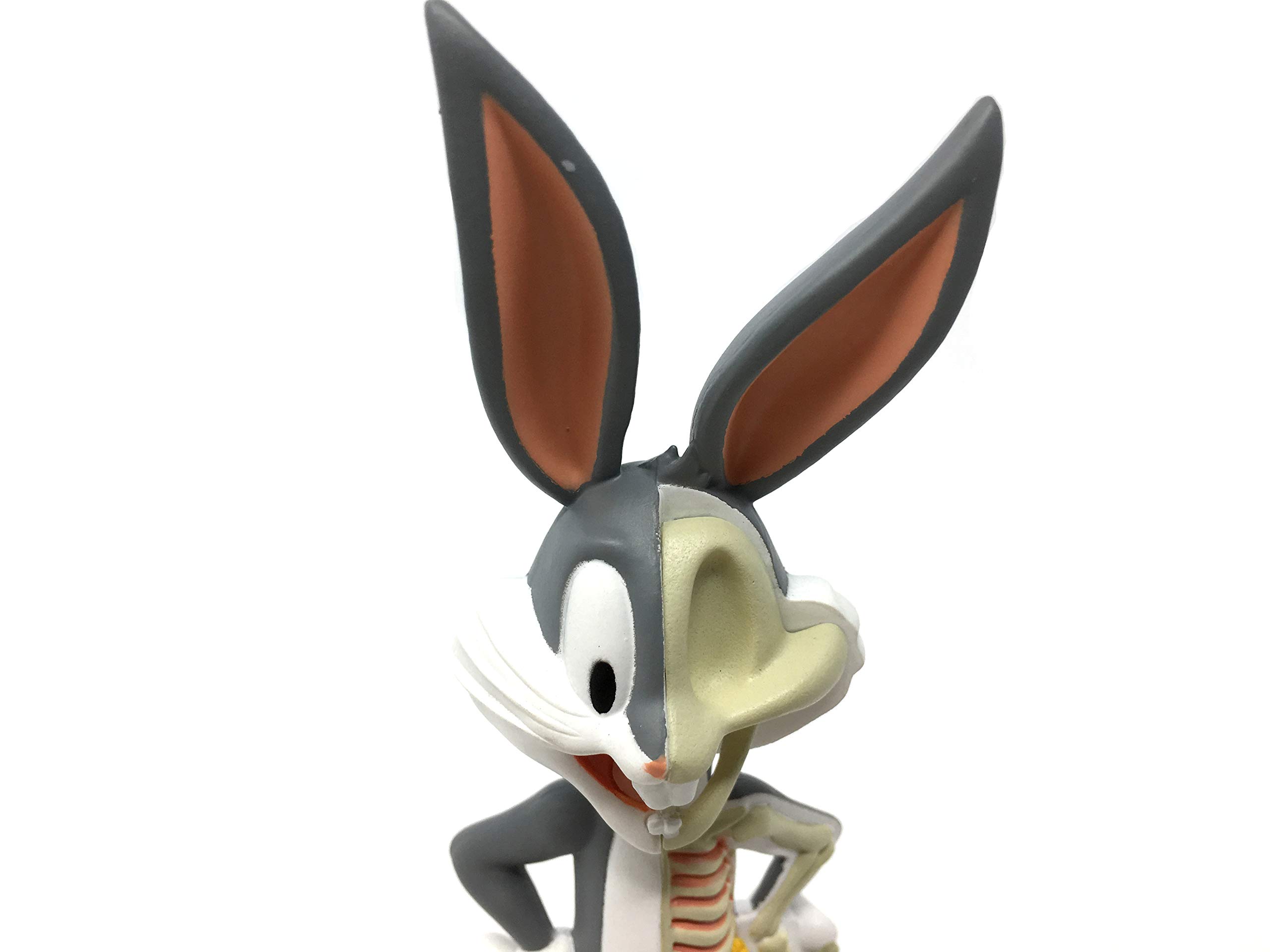 XXRAY 4D Vision Body Anatomy - Bugs Bunny Funny Anatomy by