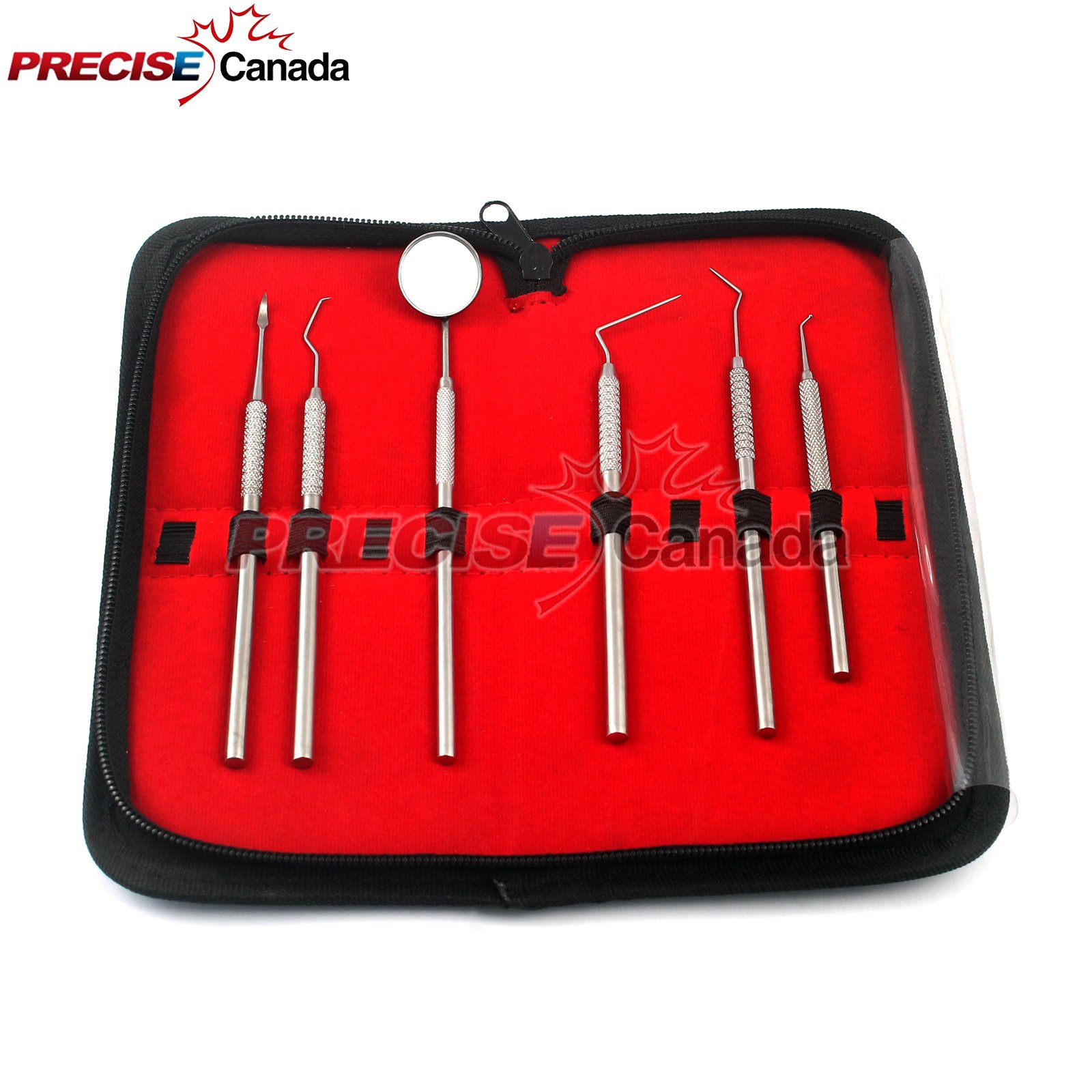 Precise Canda - 6 Piece Dental Pick & Mirror Set with CASE Dental Instrument IT Holiday Gift