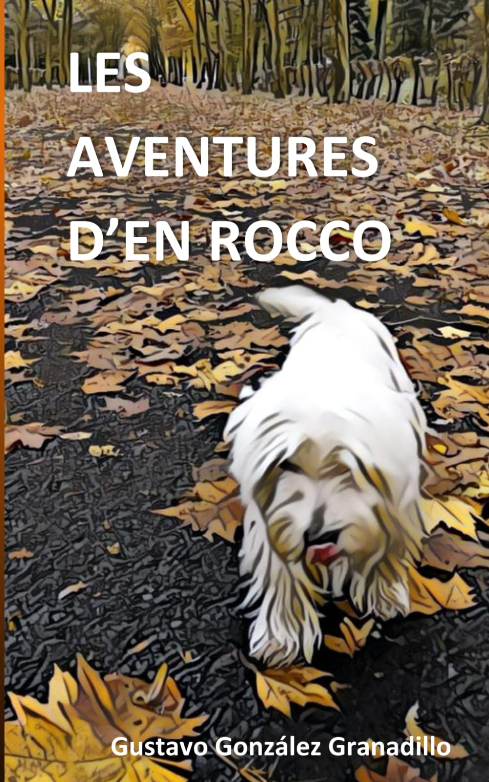 Les Aventures d'en Rocco: Versió Catalana
