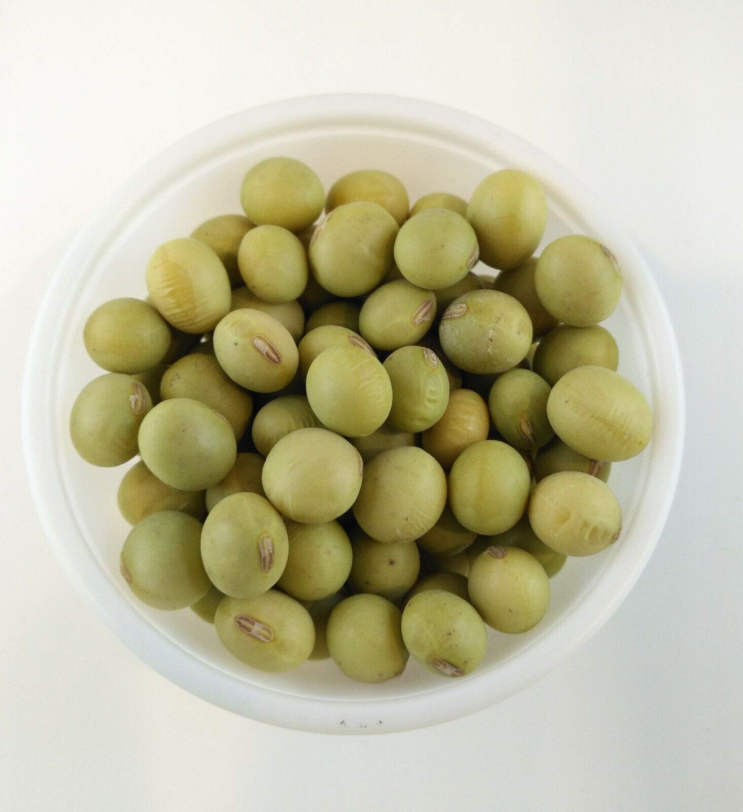 Hundredfold Organic Chiba Green Soy Bean 30 Seeds - Open