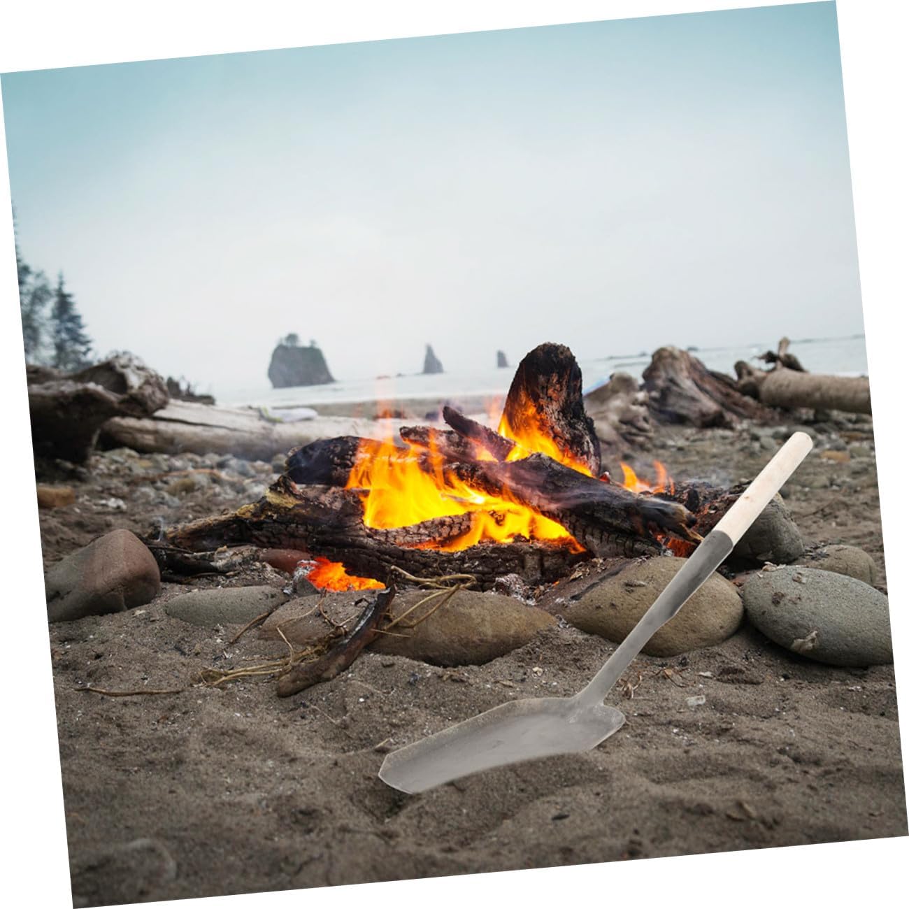 Coal Ash Shovel Long Handle for Fireplace Cleaning and Coals
